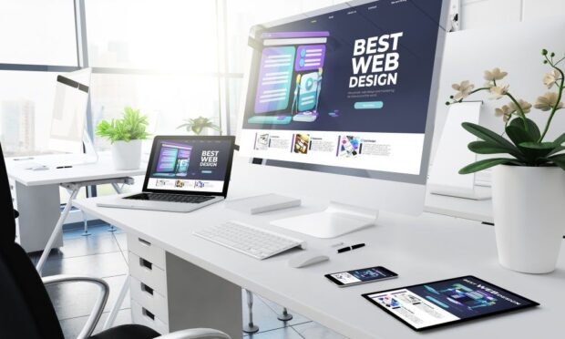 diseño web profesional